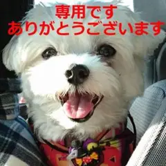 専用です