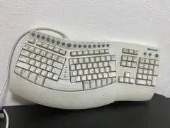 【希少 レトロ品】Microsoft Natural Keyboard Pro