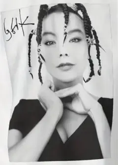 【レア】ヒグチユウコ ダンサー・イン・ザ・ダーク Tシャツ L 2025年最新】ダンサーインザダーク tシャツの人気アイテム