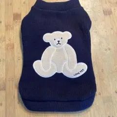 Item thumbnail for item 228c2586-d9dd-4ac7-8d70-287fc901eddf