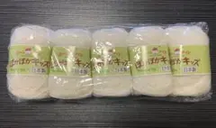 ハマナカ ホームメイド ぽかぽかキッズ ホワイト 毛糸 5個セット