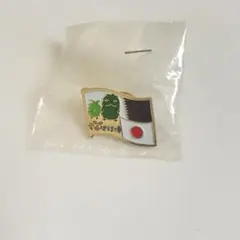 【新品未開封】愛・地球博 愛知万博 ピンバッジ カタール