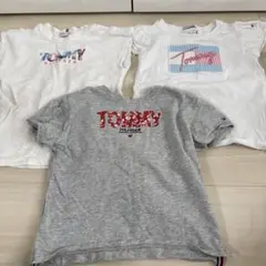 TOMMY HILFIGER Tシャツ 3枚セット 92サイズ
