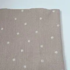 ヌビ　マーガレット(ラテ)