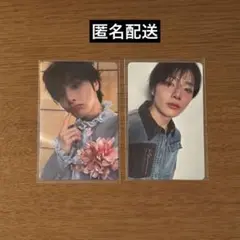 StrayKids アイエン IN Hollow トレカセット