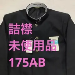 Item thumbnail for item 53db8456-6abd-4970-9286-b36851f67ffa