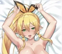 リーファ 抱き枕カバー