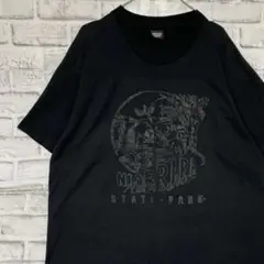 USA製90sヴィンテージTシャツ！シングルステッチ　ブラック半袖古着XL729