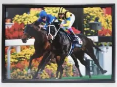 Item thumbnail for item b442a14c-d1bc-4684-959e-1d0a630bcc5a