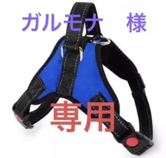 Item thumbnail for item 2c900807-5f00-4ba0-b105-a7aa6edeae0b