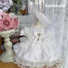 番号2362