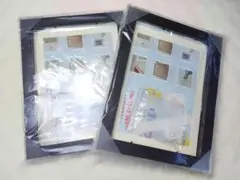 Item thumbnail for item af6bd191-9c3c-4ea1-9c79-d1e8f1f90e30