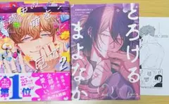 Luria 真夜中の俺を見て 2 bl新刊 アニメイト限定特典小冊子　ペーパー
