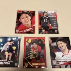 男子バレー日本代表 山本智大 大塚辰宣 金箔サイン入りカード含10枚セット