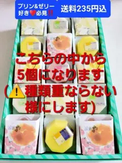 プリンu0026ゼリー菓子好き♥️必見‼️安心の匿名発送♥️【送料235円込】