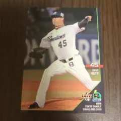 野球カード ヤクルト ハフ