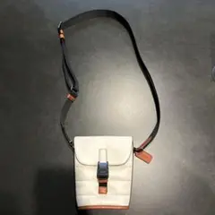 Item thumbnail for item 599965f5-c069-419e-8dc7-e347f46195f1