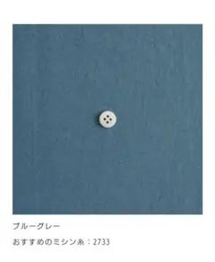 check&stripe ナチュラルコットンHOLIDAY ブルーグレー 1m