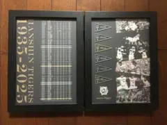 Hanshin Tigers 90周年記念 ピンバッジセット