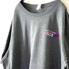 キャンバス プライド イーグル グッド Tシャツ 2XL グレー 灰色 古着