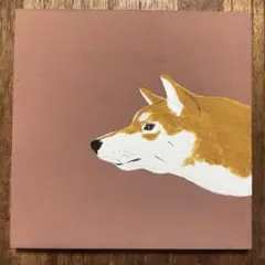 柴犬 中型犬