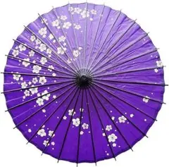 Item thumbnail for item 6efb65c4-7672-4300-ab17-fb6a91b52861