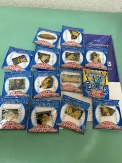 超レア！　２００６年中日ドラゴンズ　ピンバッチ　全13種
