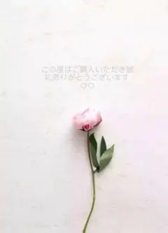 イヤーカフ付きビジューピアス 大人可愛い 片耳用 韓国ピアス 左耳用
