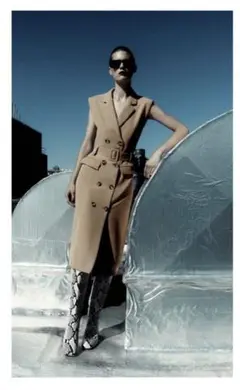 ZARA ベルテッドトレンチコートワンピース