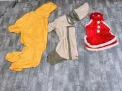 Item thumbnail for item f6a513c8-ff5d-4cc5-b562-cf9b8f35ce12