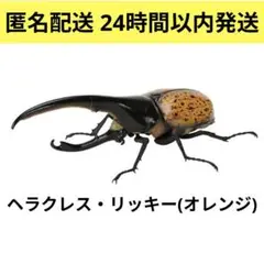 匿名配送 いきもの大図鑑 かぶとむし09 ヘラクレス・リッキー(オレンジ・新色)
