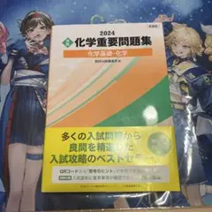 2024 化学重要問題集