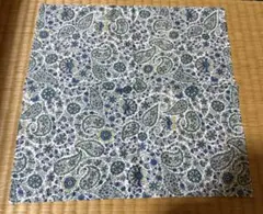 Item thumbnail for item 585d13b1-d77e-412a-9192-c986677816c5