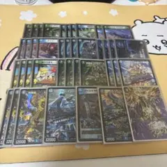 (最終値下げ)フィオナアカシック