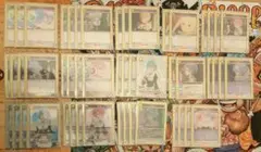 Item thumbnail for item 30d97cd0-9812-45d8-bc4f-9f66c8c76148