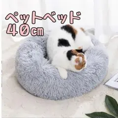 Item thumbnail for item 9971daf0-9fd2-4aab-9eee-27050a65cf78