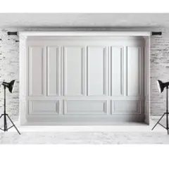 Item thumbnail for item 65b968f2-1588-404e-a766-3d447726e01f