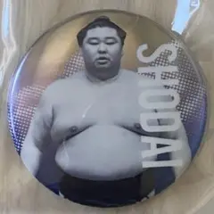 大相撲 正代 関取全員集合缶バッジ ガチャ(7月名古屋場所)