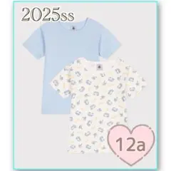 新品未使用 プチバトー 半袖Tシャツ 2枚組 12ans サーフライフ
