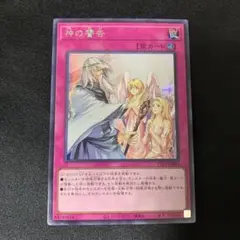 神の警告 シークレット 遊戯王