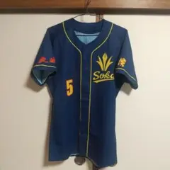 創価大学硬式野球部ユニホーム。