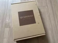 クアデルノ QUADERNO A4 Gen.2 FMVDP41 ＋ 純正カバー