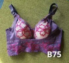 MARUKO☆アヴァンセ サクラ☆3/4ショートブラジャー B75