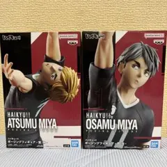 ハイキュー　2体