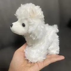プードルのぬいぐるみ　Aurora