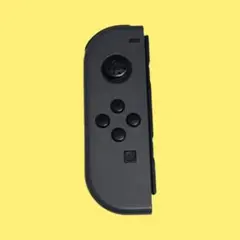 Nintendo Switch グレー ジョイコン ジャンク