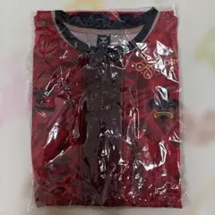 ツエーゲン金沢 2025 サマーユニフォーム