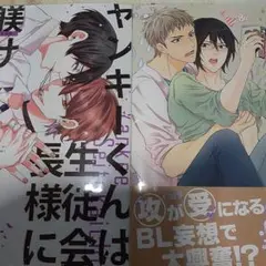 商業 BL 新刊 含 組み換え可能　ヤンキーくんは生徒会長様に躾けられたい　②