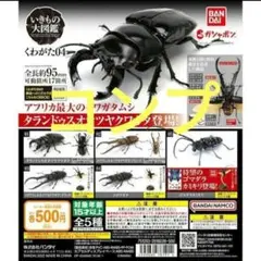 いきもの大図鑑　04　コンプ　全5種