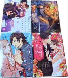 (ｇ)TL漫画4冊セット